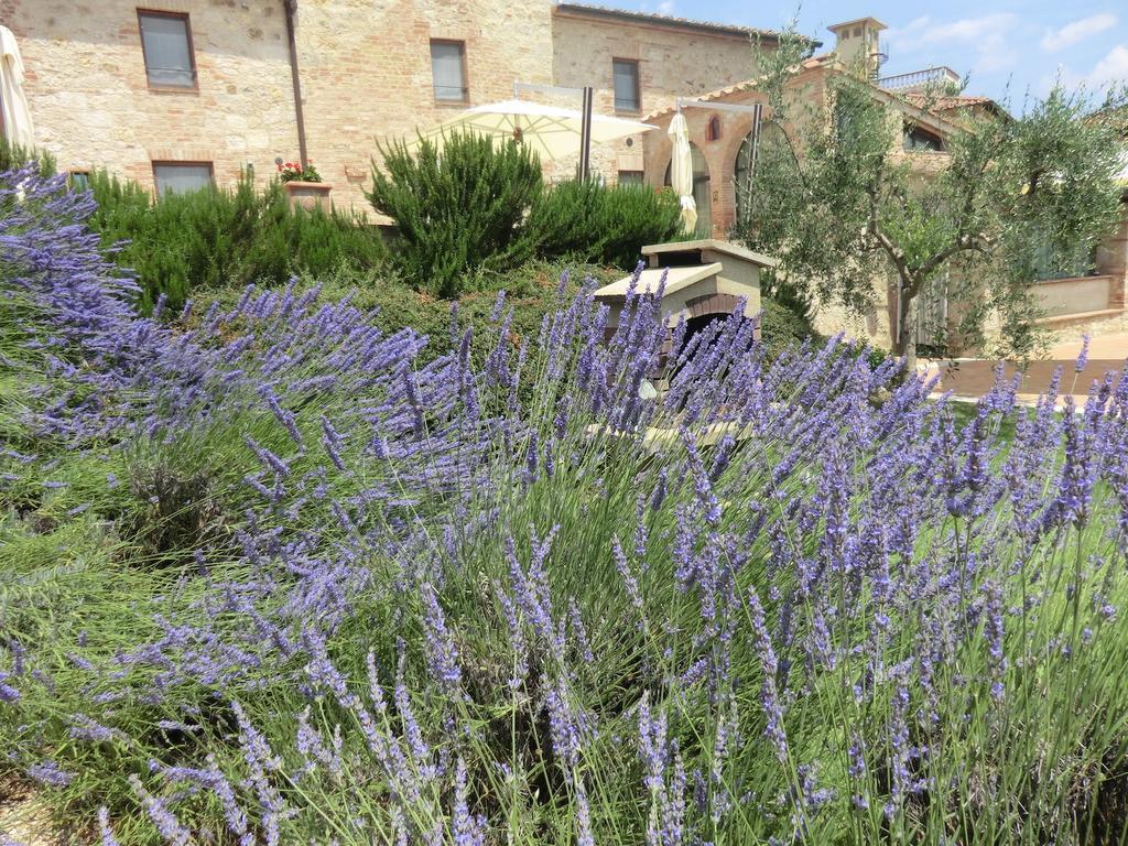 Hostal La Pieve Di San Martino Colle di Val d'Elsa Exterior foto